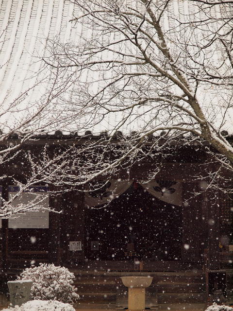 従二位辻本英明様「雪の観音堂」の写真