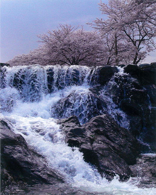 従二位市川英明様「明日香川の春」の写真