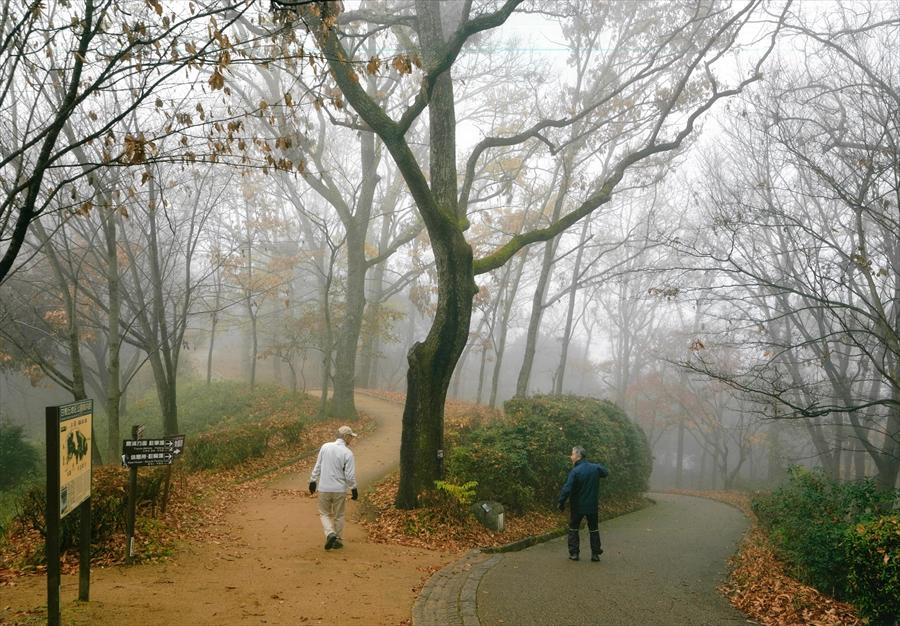 正四位「霧につつまれた林」森口好展様の写真