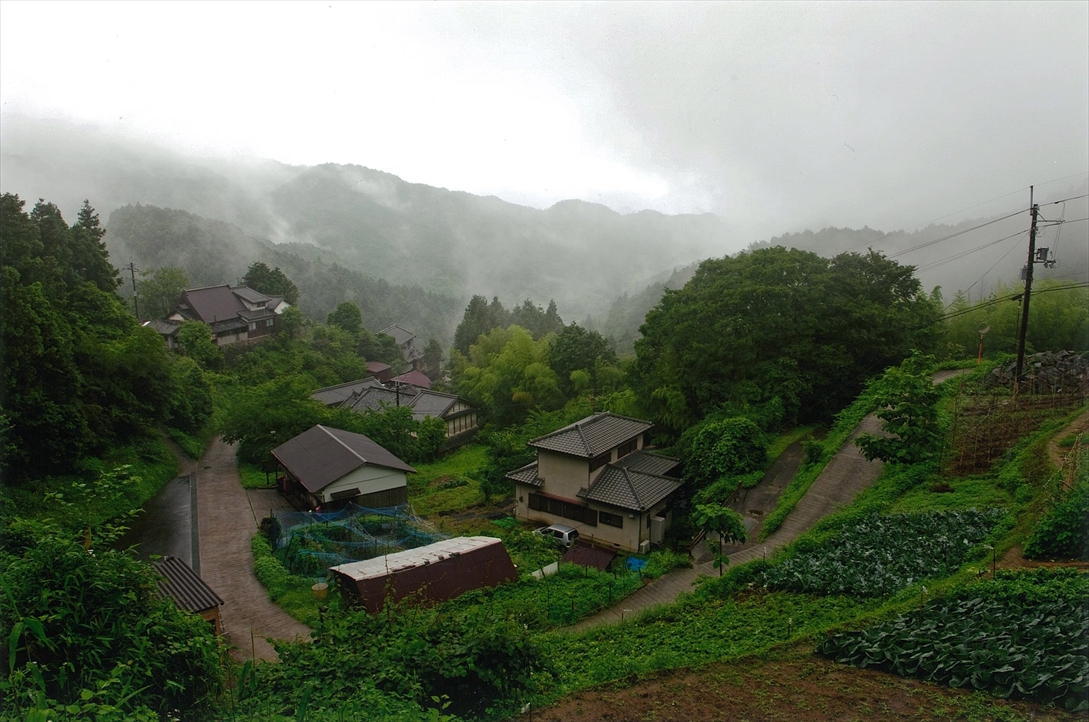 従三位「初夏の山里 雨あがる」宮田哲治様の写真