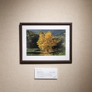 本田和博様の作品展示写真
