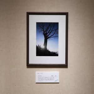 北浦一清様の作品展示写真