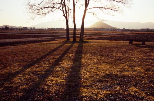 正一位藤江宏様「歴史の大地・夕映え」の写真