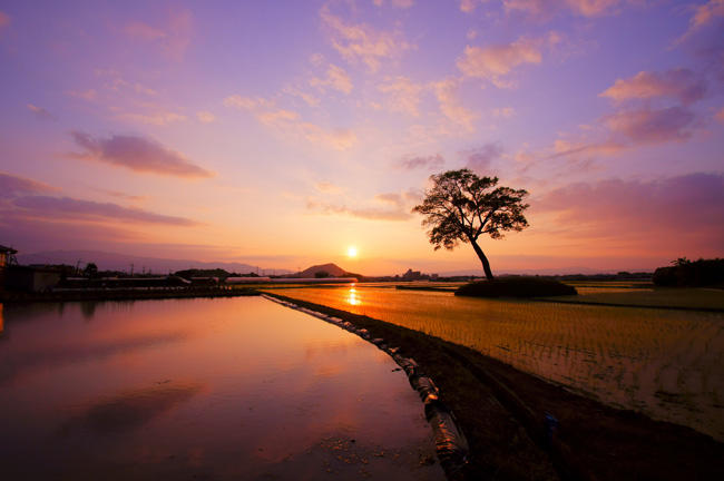 従一位中西克様「古宮土壇　悠久の夕べ」の写真