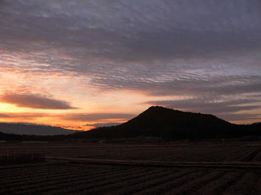 従五位藤岡秀規様「暁の畝傍山」の写真