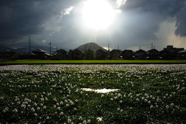 従五位北好雄様「晩夏の光」の写真