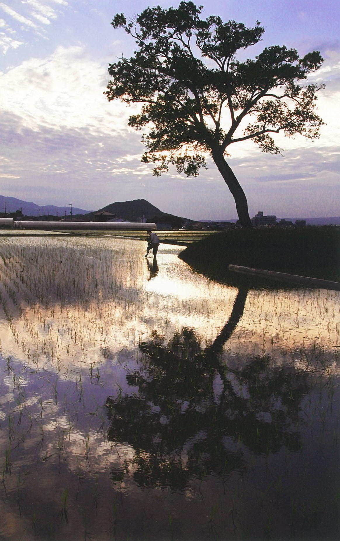 従二位松田全弘様｢今も守るいにしえの地｣の写真