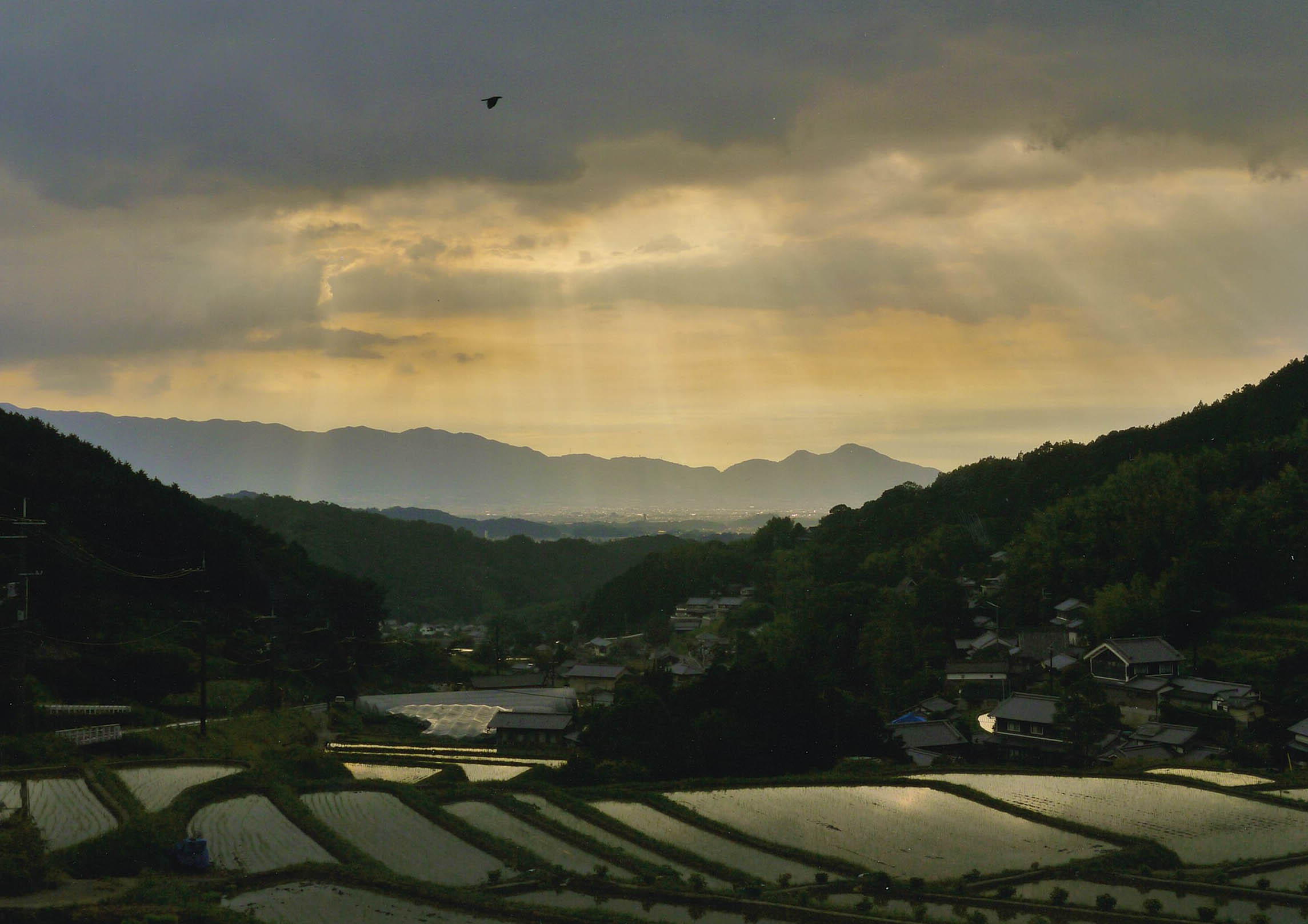 従五位たなべ弘年様「そらよりのじこう」の写真