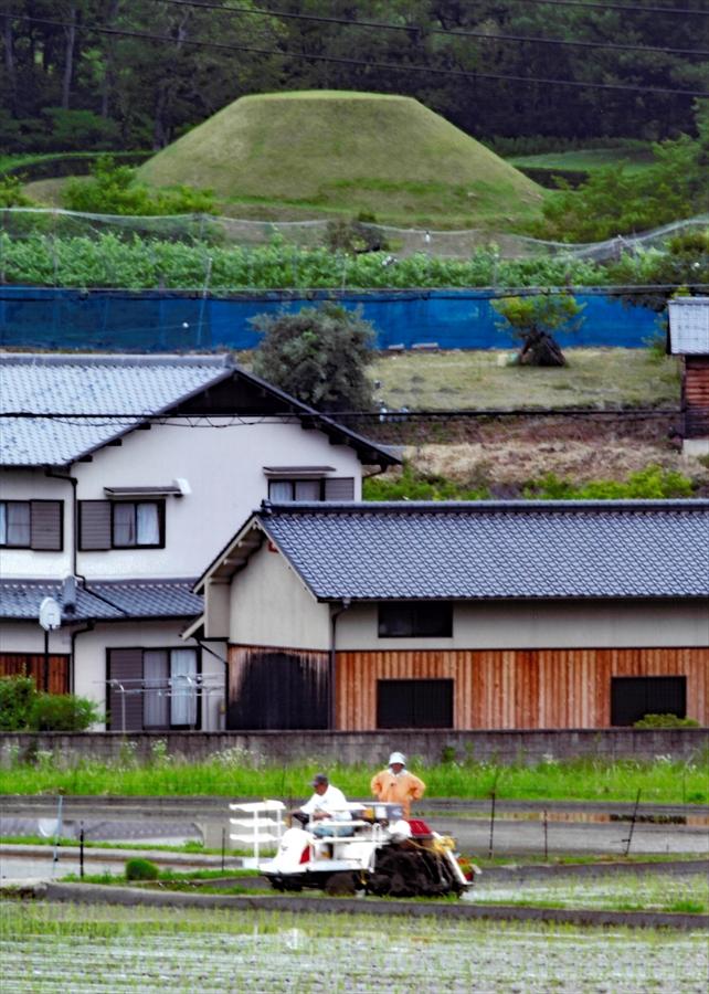 正四位「人々の暮らしと共に」上田由美子様の写真