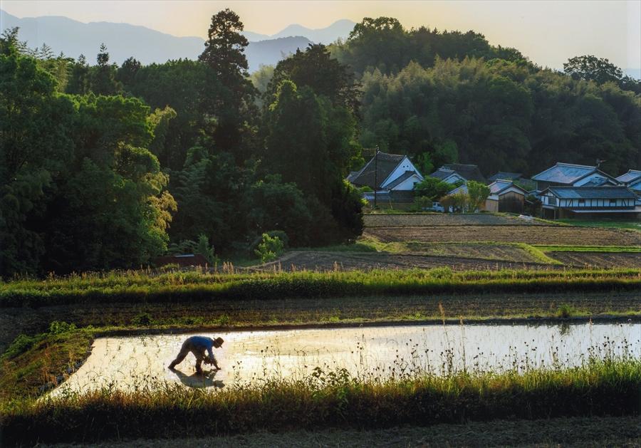 正四位「田植えの頃」山中典朝様の写真