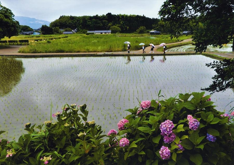 正三位「雨の日の登校」白水泉様の写真