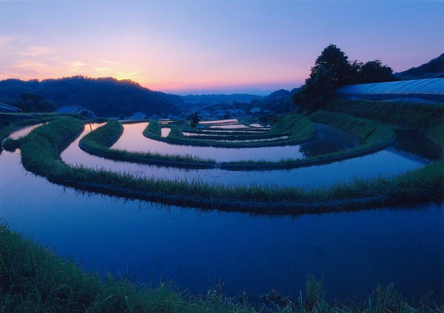 正三位「飛鳥夕景」林正和様の写真