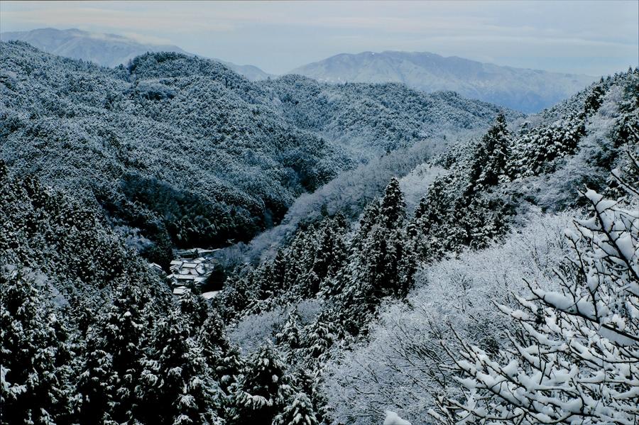 正四位「深深」水野榮様の写真