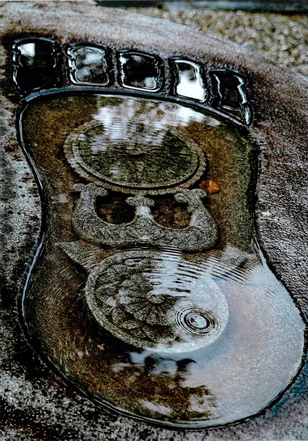 正三位「大仏様の涙」長倉國輝様の写真