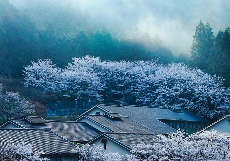 正三位「光る甍」城山 勉様の写真