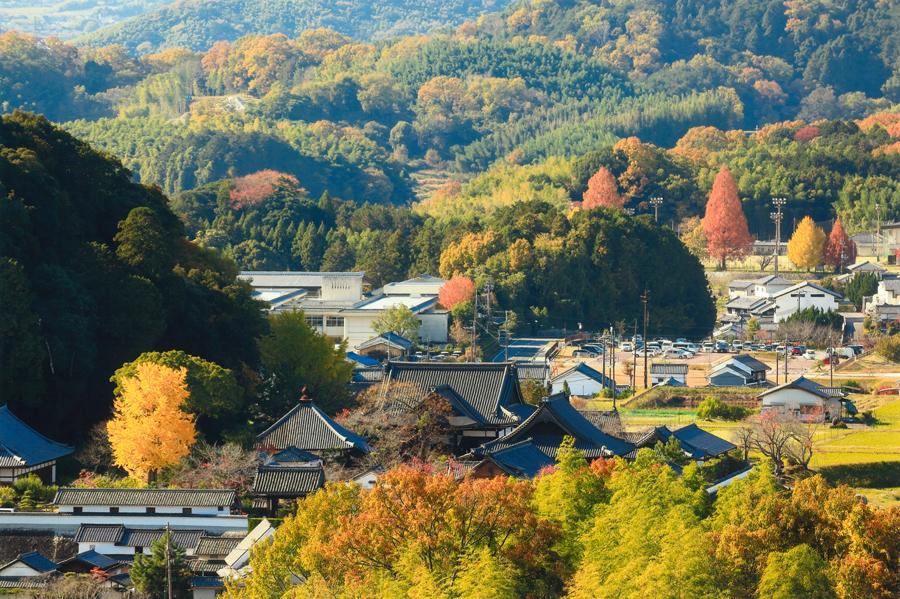 正三位「秋色の里」本多 和之様の写真