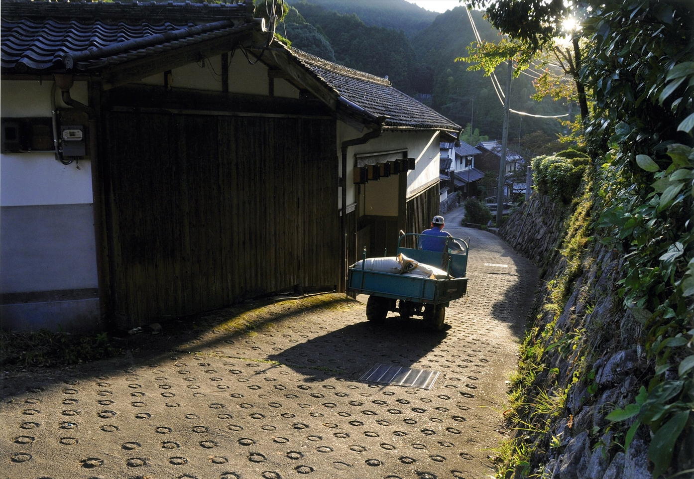 従三位「陽の当たる坂道」北好雄様の写真