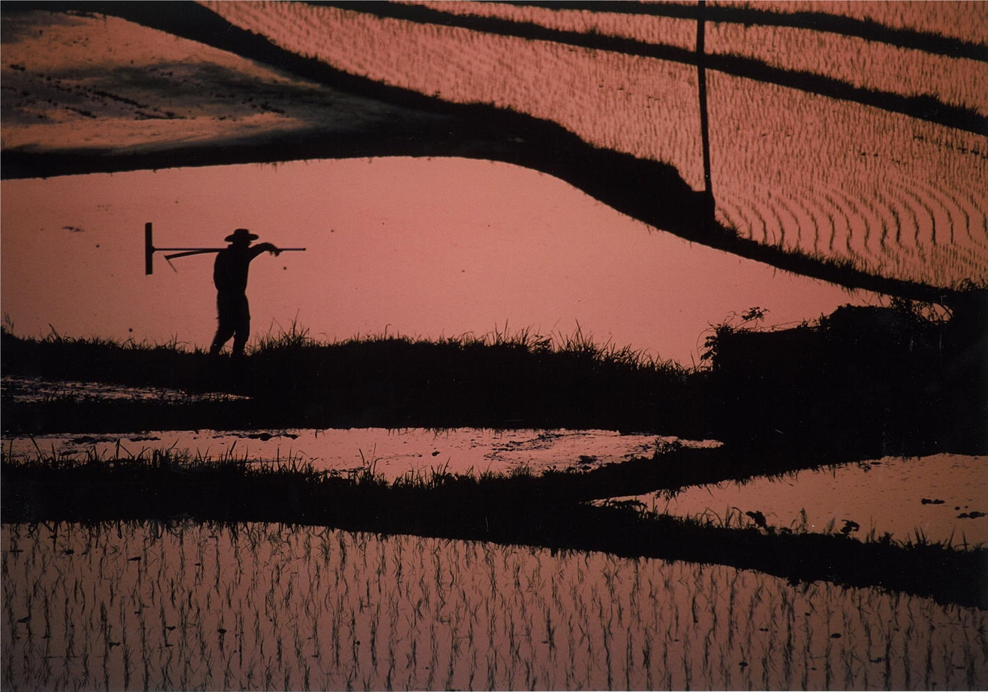 従二位「帰り道」北浦一清様の写真