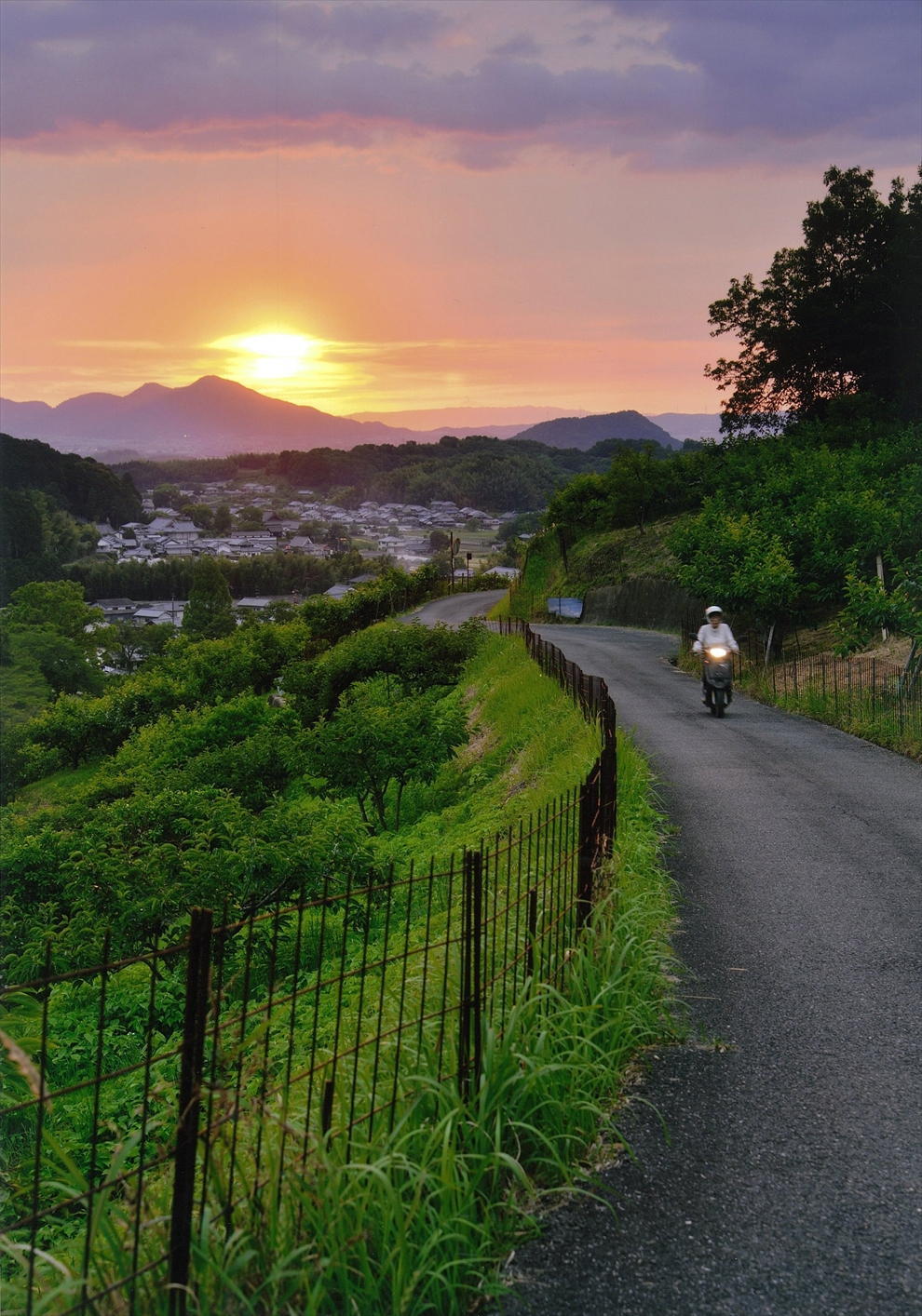 従五位「夕彩を背に受けて」森本善彦様の写真