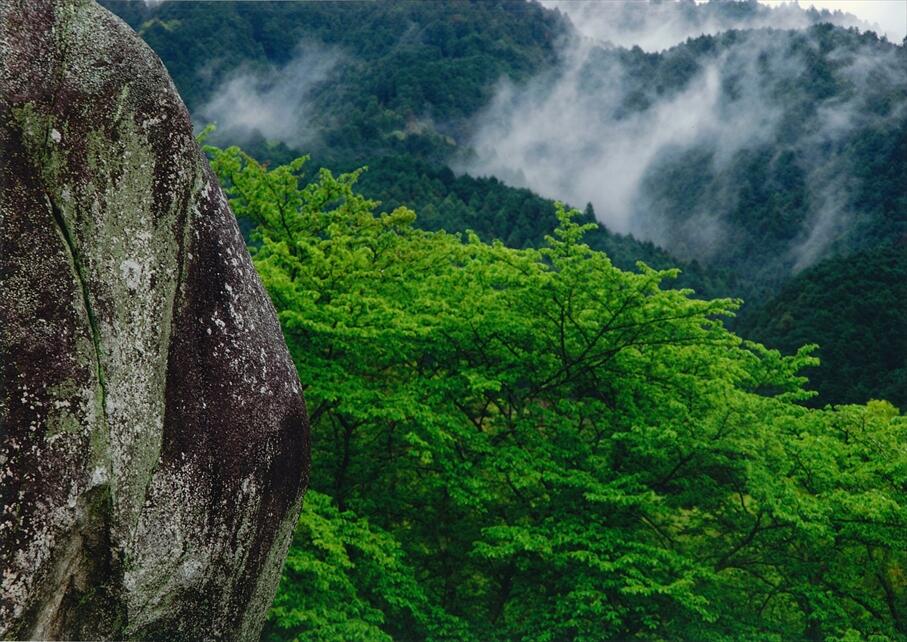 正三位「雨あがり」猪野旭洋様の写真