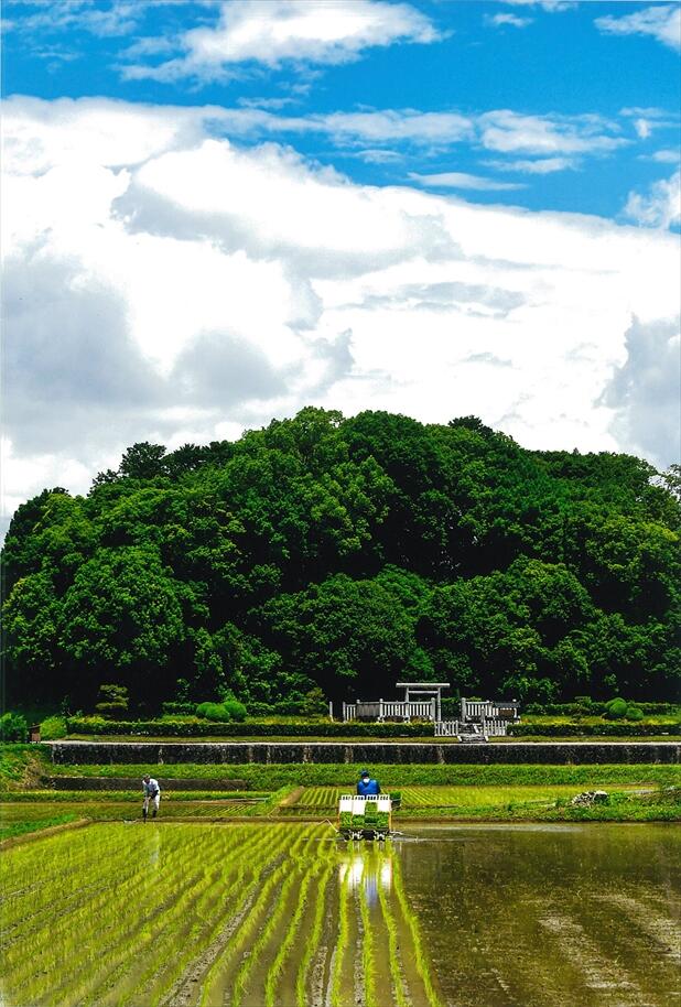 正二位「悠久」柳敏明様の写真