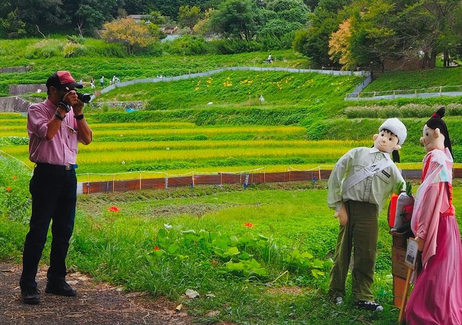 正四位「ポーズをとる案山子」楠田光作様の写真