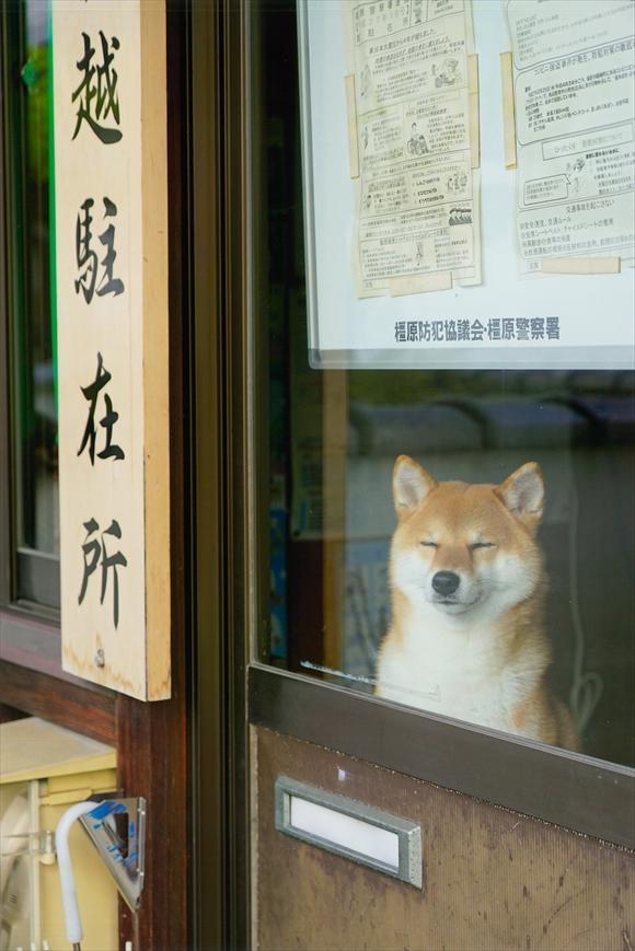 正二位松長まりえ様「本日も平和です」の写真