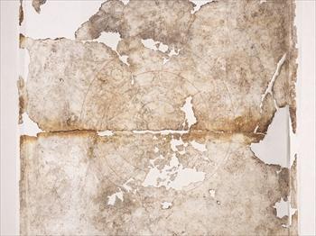 キトラ古墳天文図の写真