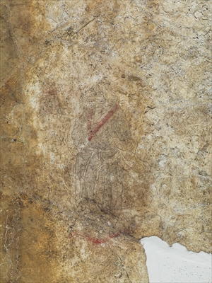 キトラ古墳壁画虎の写真