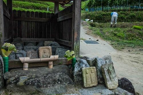 たくさんの石仏が収められ花が供えられている小屋の横で男性が日常の野良作業をこなしている写真