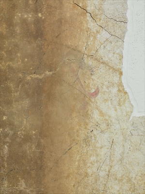キトラ古墳壁画青龍の写真