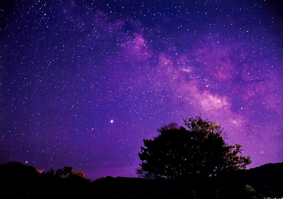 大きな木のシルエットの奥に紫色の夜空と沢山の星が写っている写真