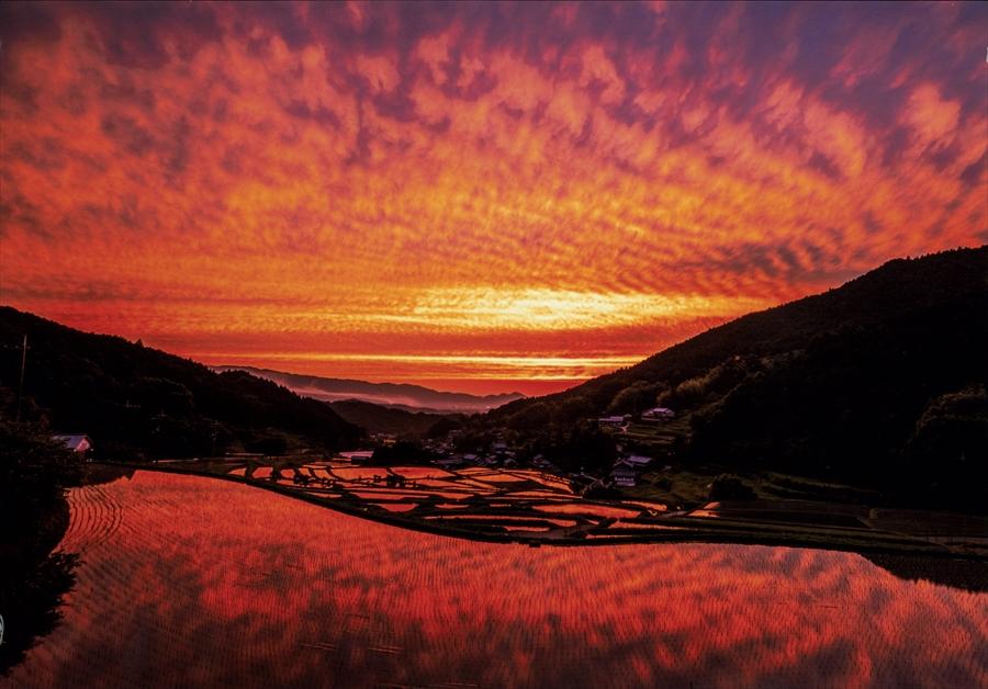 夕焼けで真っ赤に染まる空と棚田の風景写真