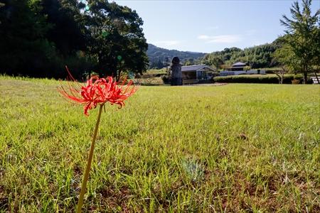 20240925-_MG_336_resize_R.jpg