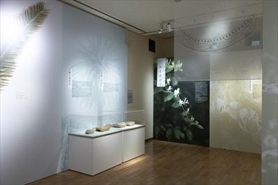 瓦に関係する植物の写真を大きく展示している展示室の写真