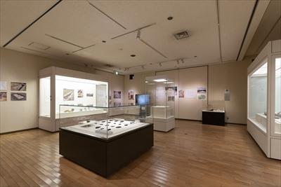 飛鳥の考古学2021の展示室の画像