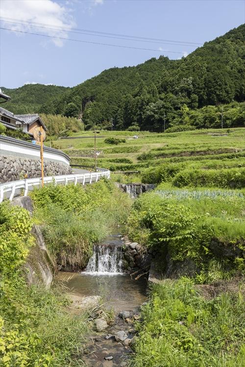 小さな滝がだんだんと続く棚田の水路の画像