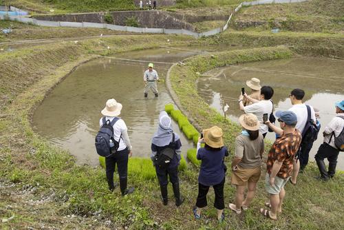 田植えの説明を受けるオーナの人達の写真