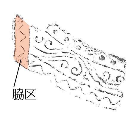 6641Cの拓本で脇区を示した図