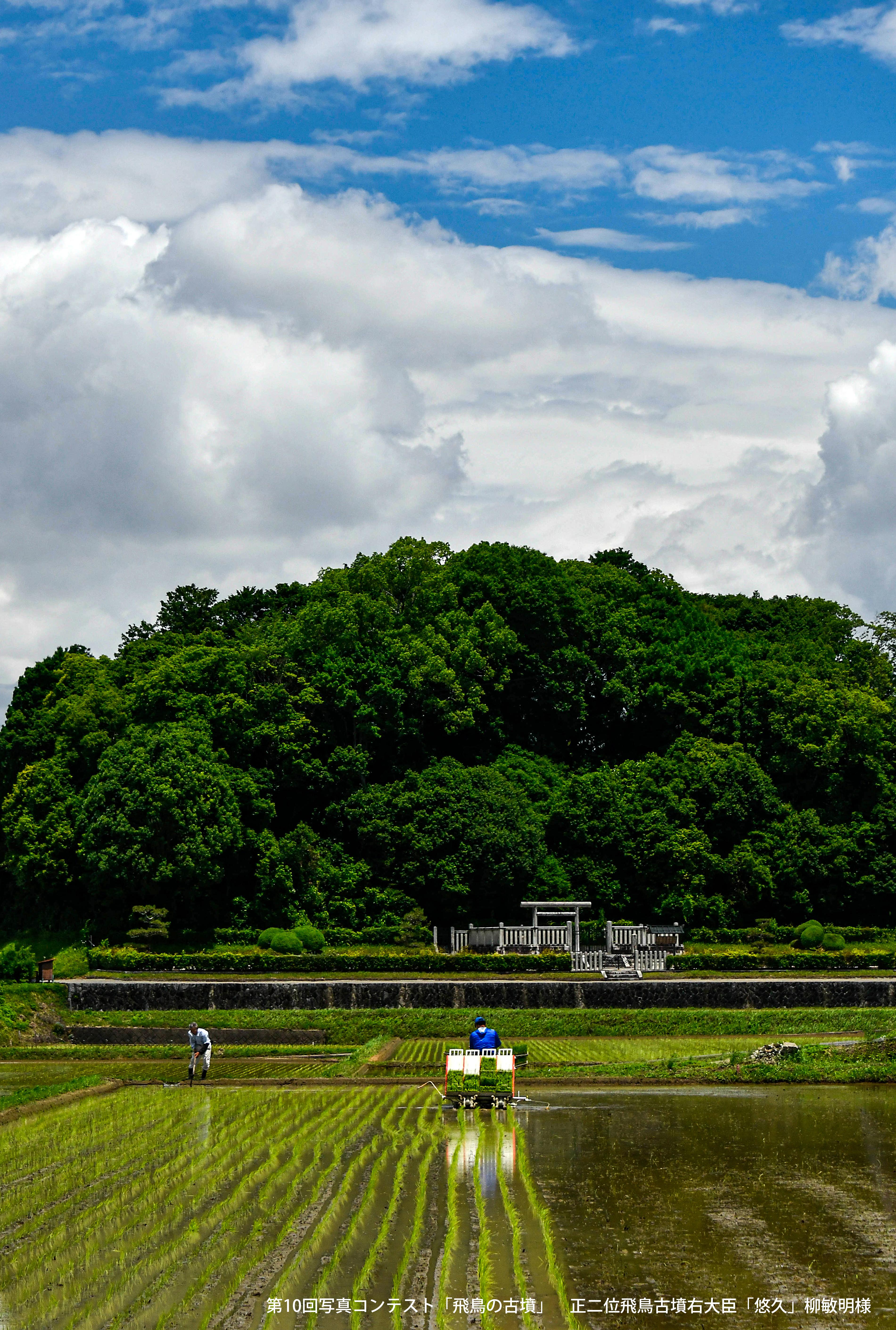 青い空と白い雲と大きな森のような古墳を背景に田植え機で田植えをしている写真