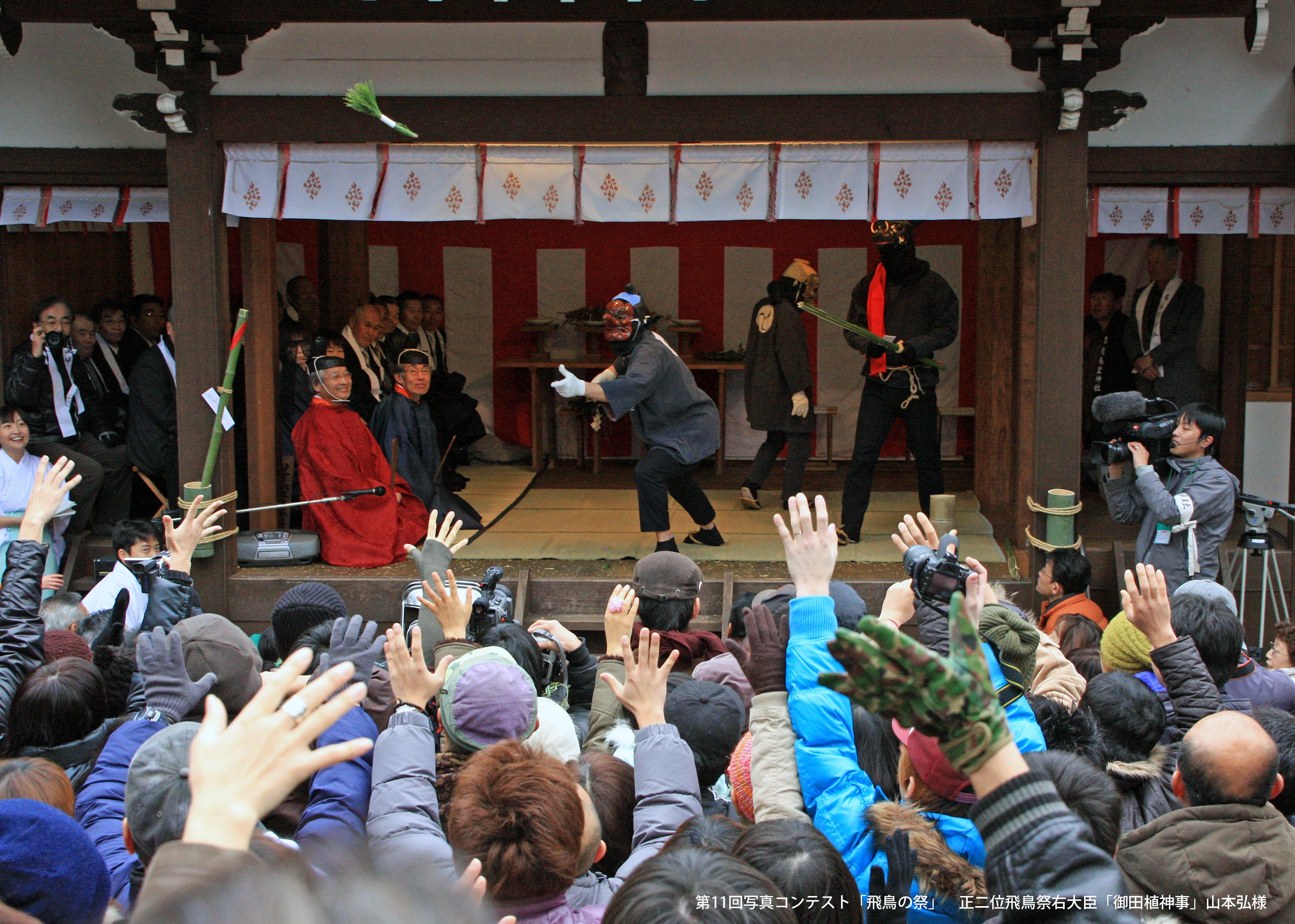 飛鳥にいます神社のおたうえ神事で苗松が投げ入れられ盛り上がる人々の写真