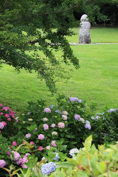 庭園の須弥山石とあじさいの写真