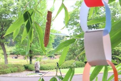 庭園に飾った笹飾の写真