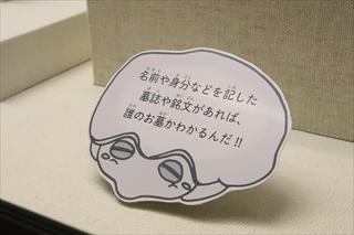 亀石をデザインした見るヒントのパネル写真