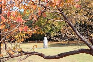 庭園の須弥山石と紅葉の木々の写真