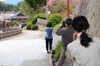 路の風景を取る研究員たちの写真