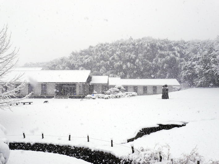 雪景色の外観写真