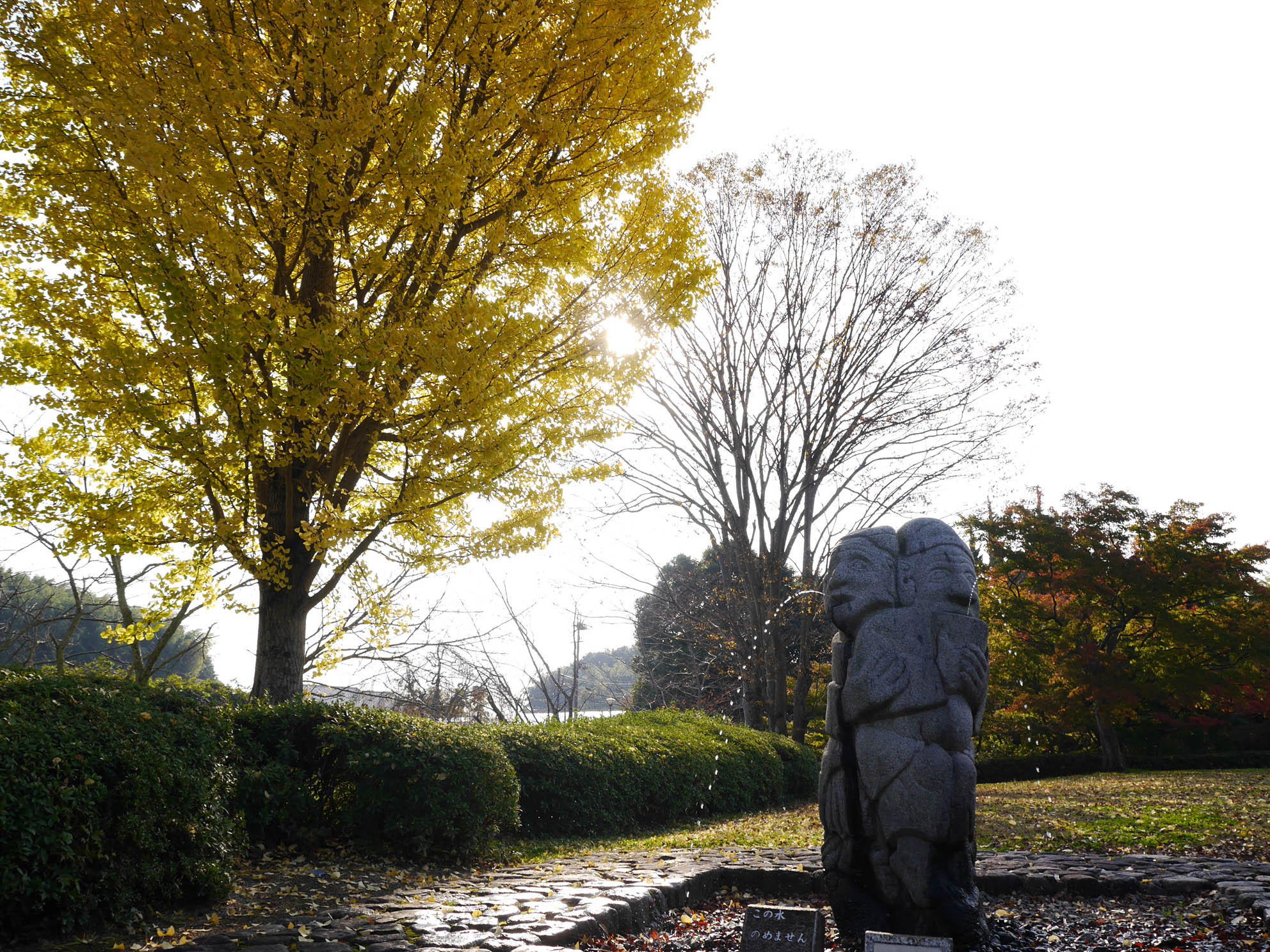 紅葉した木と庭の石人像の写真