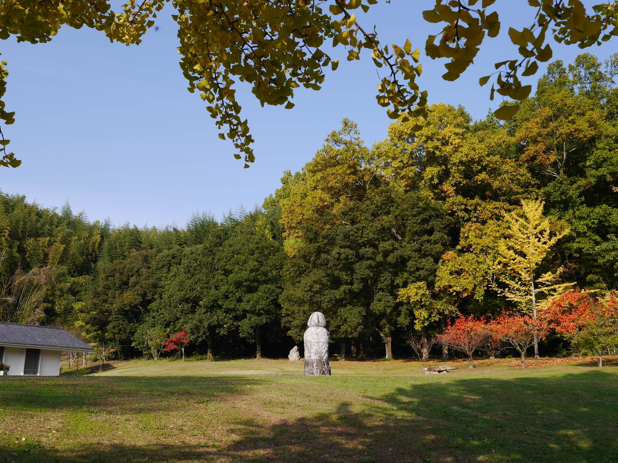 庭園の須弥山石と木々の写真