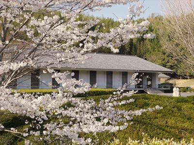 飛鳥資料館外観と庭園の桜の写真